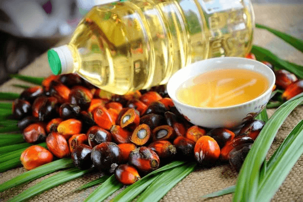 Palm oil