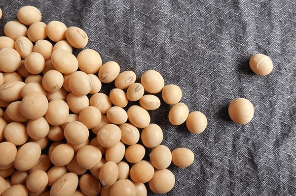 Soybean seeds